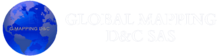 globalmappingsas.com